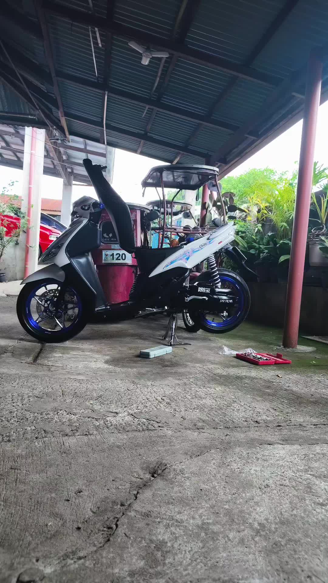 @ᴘᴍᴠ•𝗠𝗶𝗼