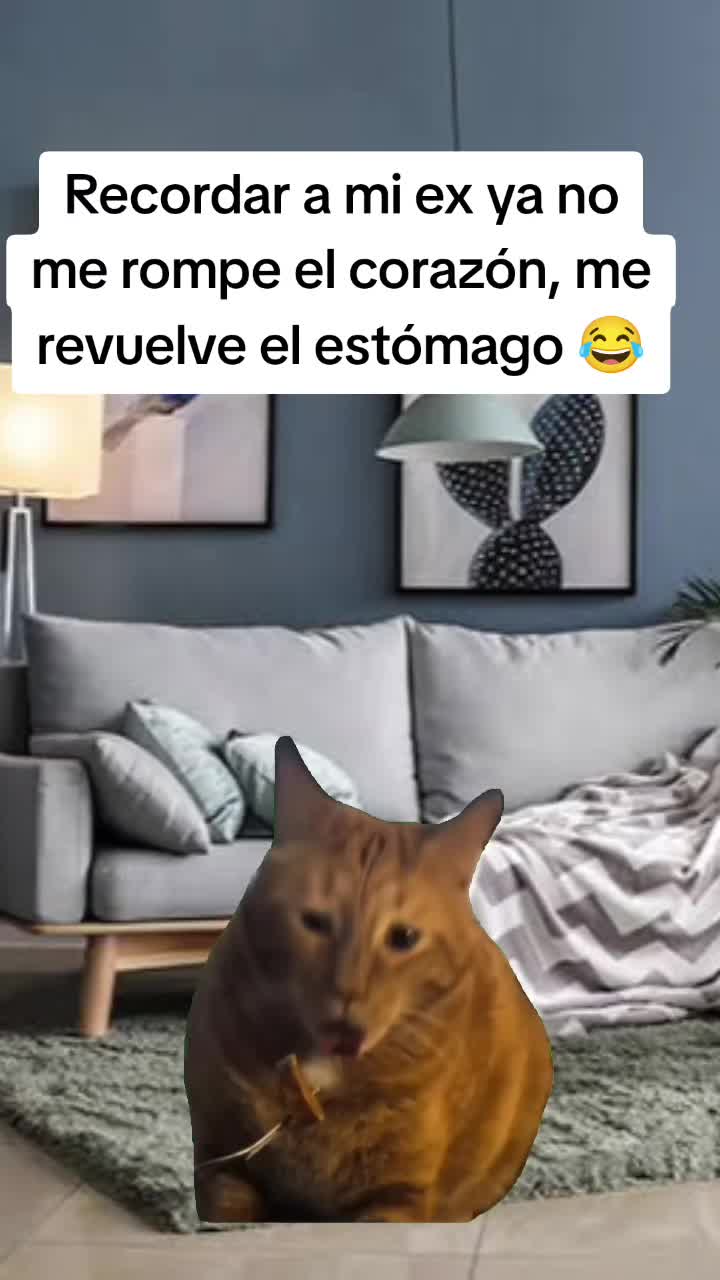 @emy
