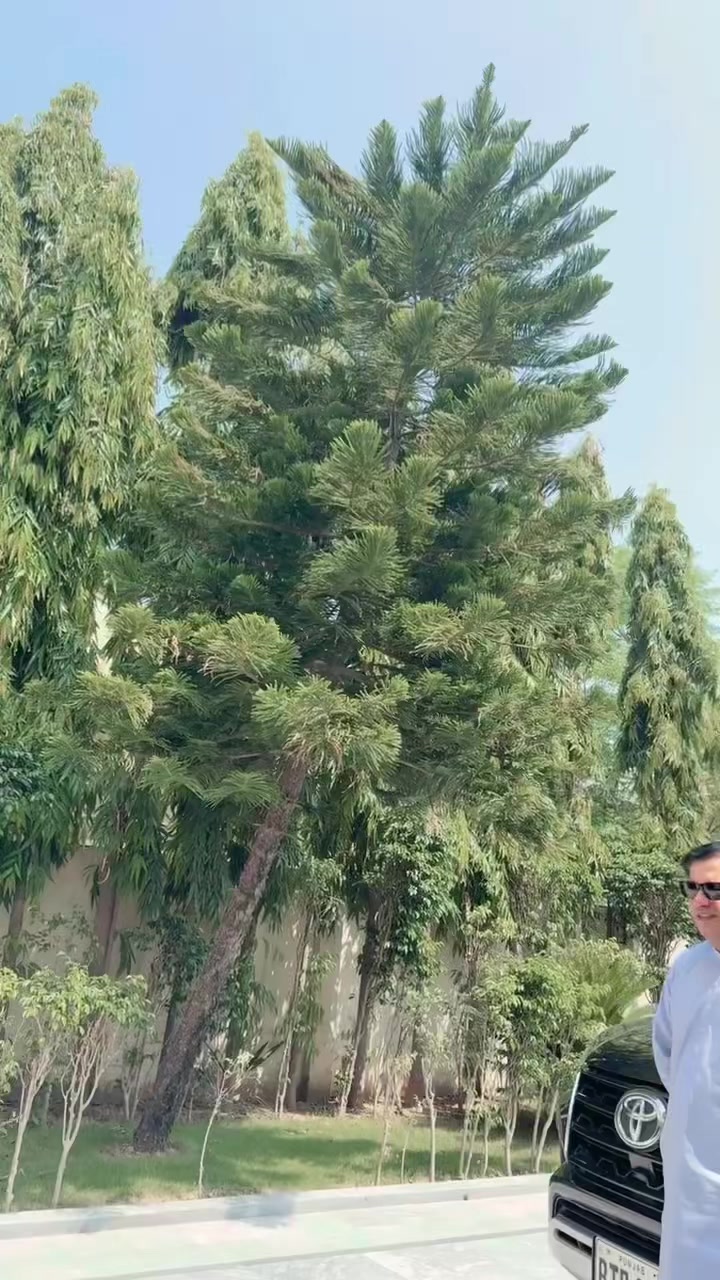 @naveedch123