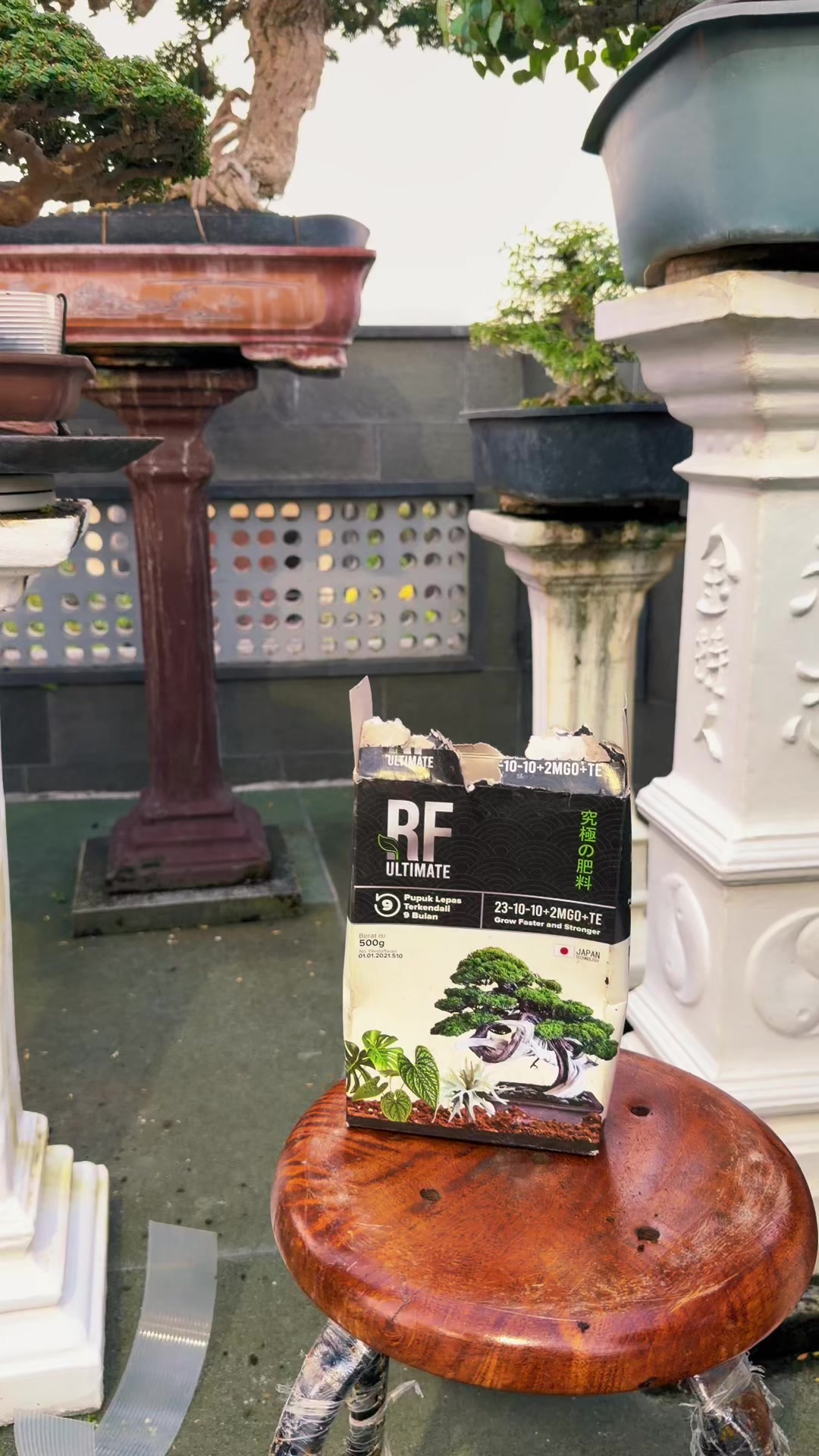 @“Cris Art Bonsai”