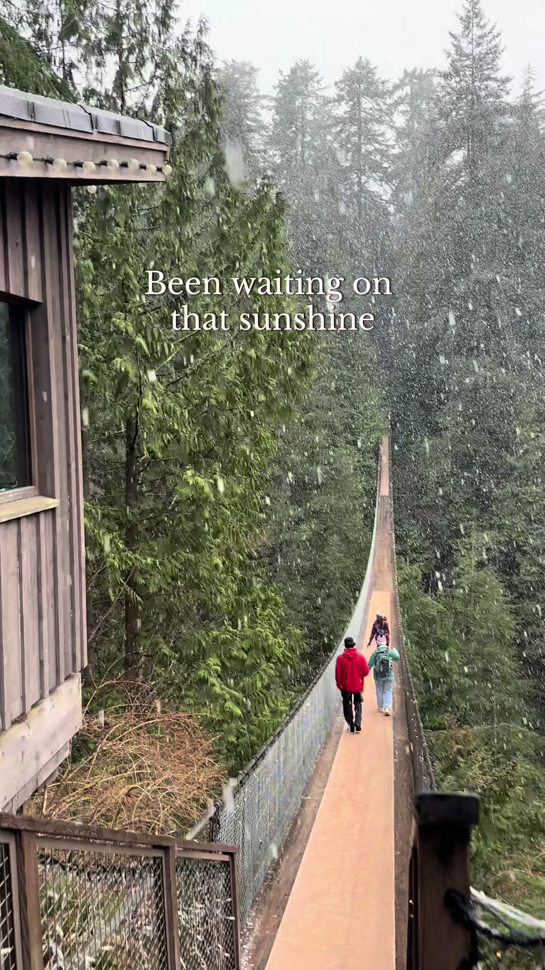@Capilano Suspension Bridge