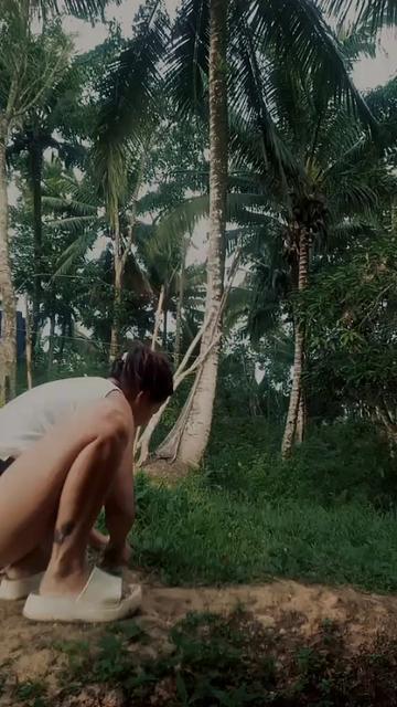 @CHAII