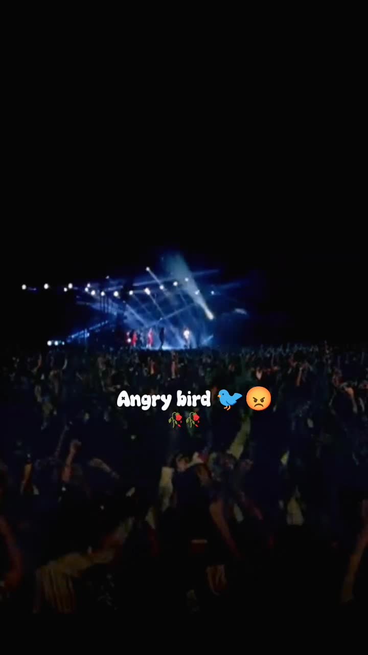 @💫𝖆𝖓𝖌𝖗𝖞 𝖇𝖎𝖗𝖉𝖘💫💥