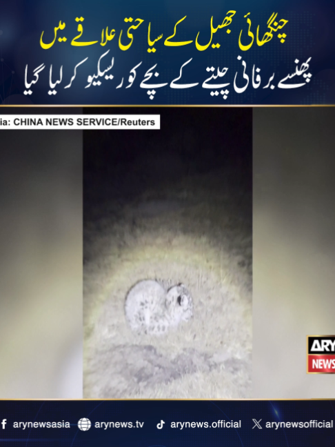 @ARY NEWS