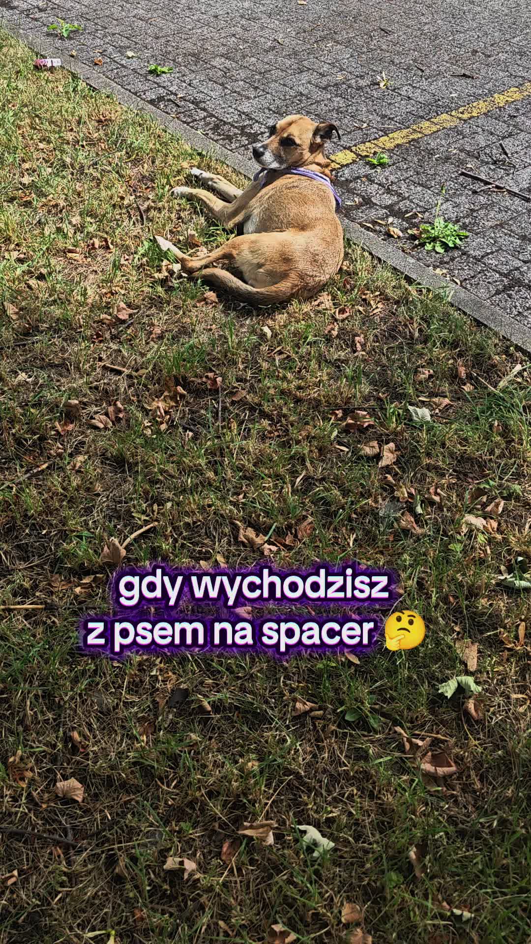 @Emilka Roczek
