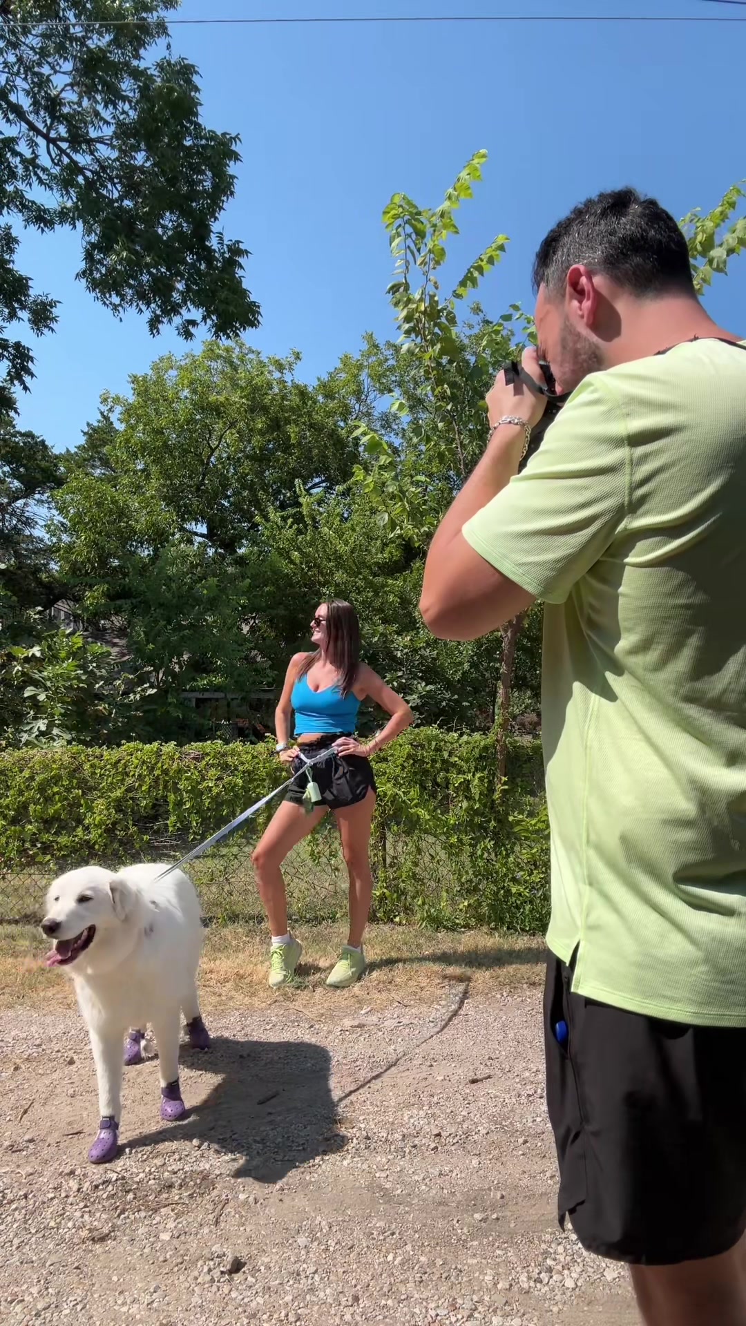 @dallasdogwalker