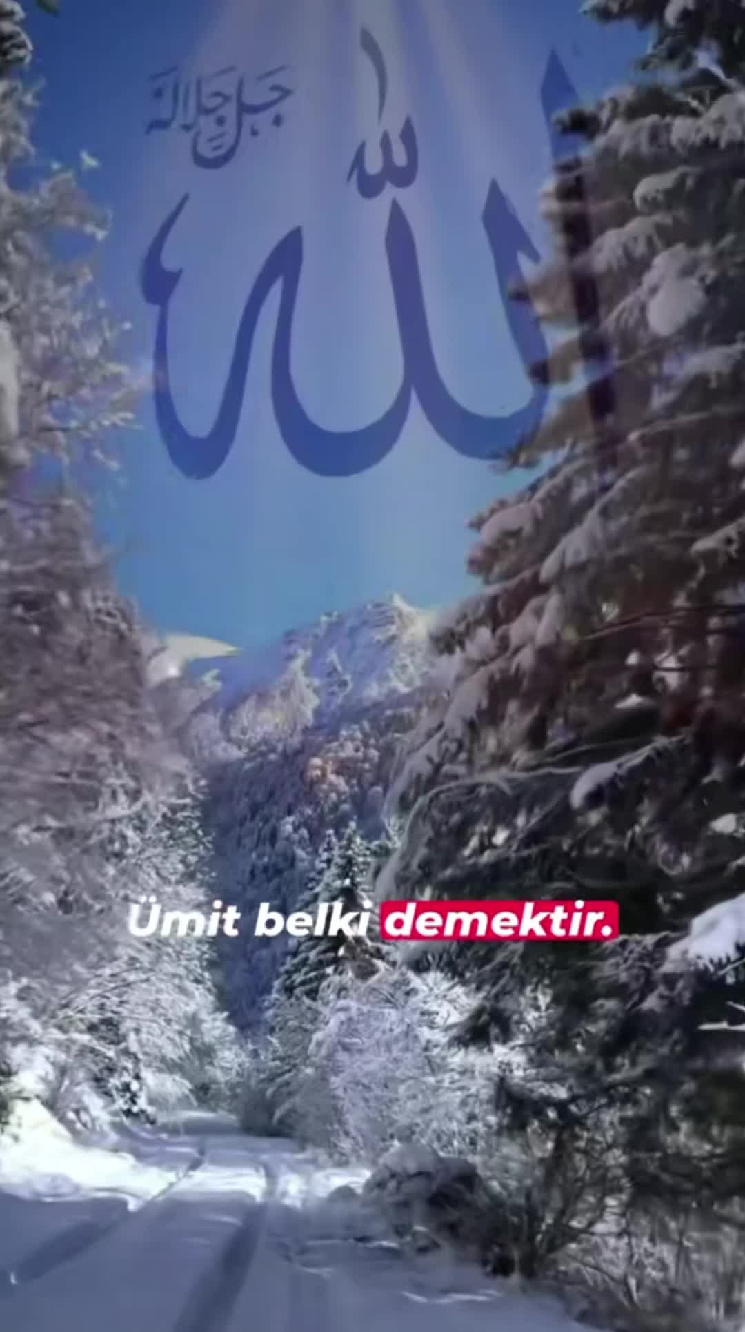 @Huzur İslam'da🤲