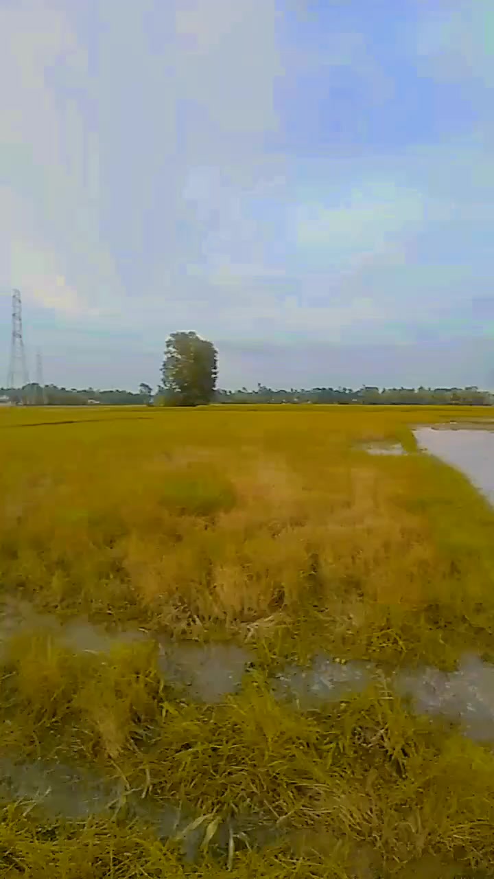 @đJowelArfan321đ