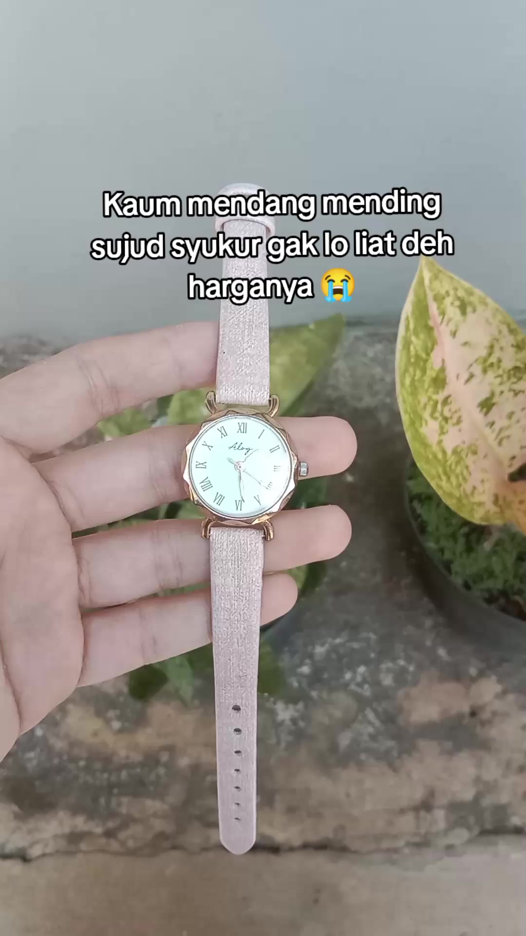 @S-tetik 🛒