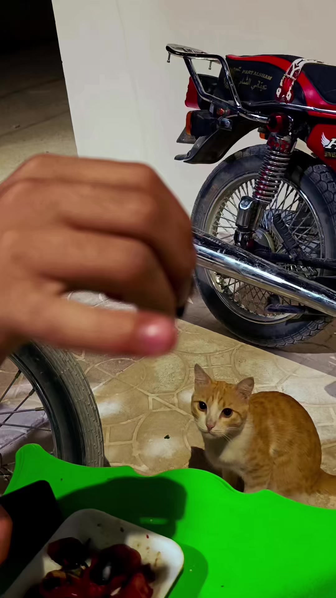 @๐ฉ๐๐๐๐๐๐ช