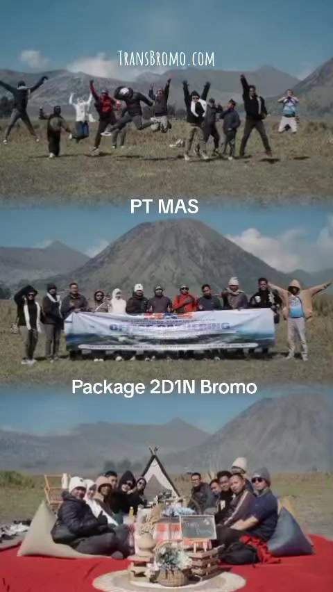 @transbromo