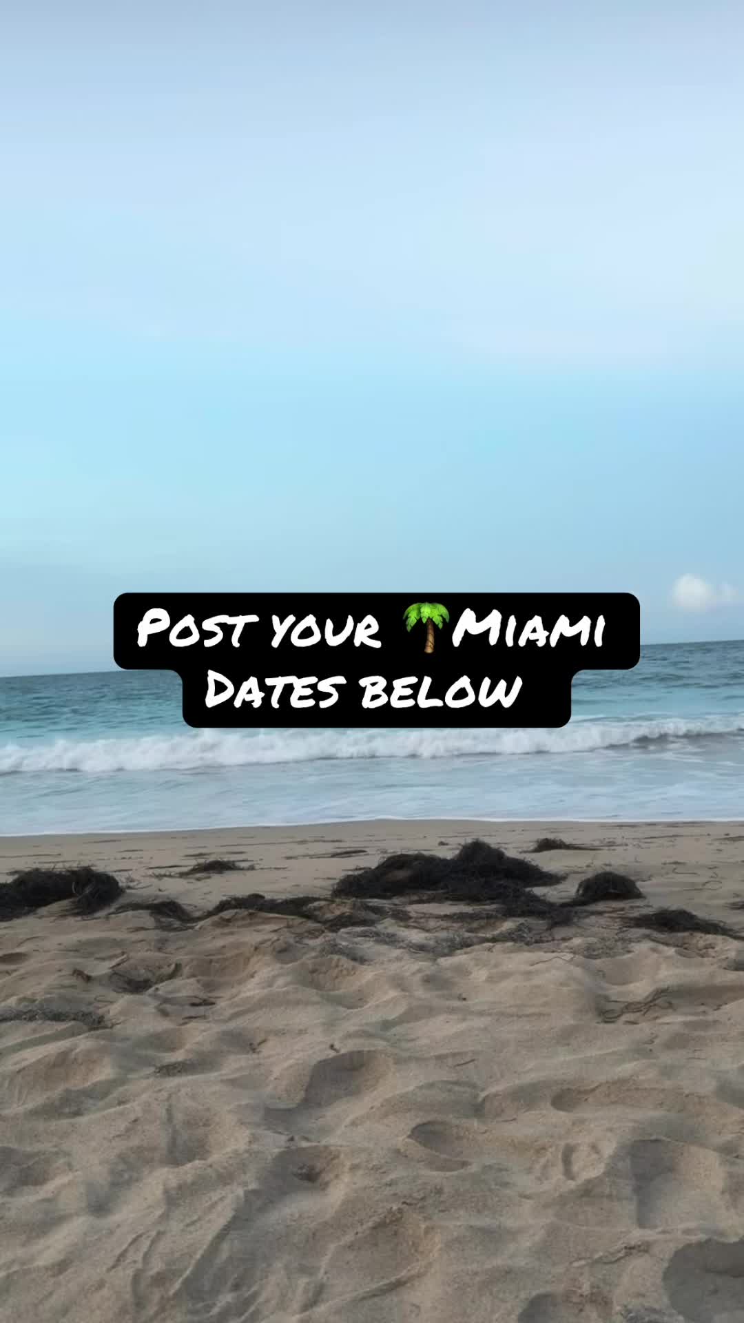 @Miami Raiden
