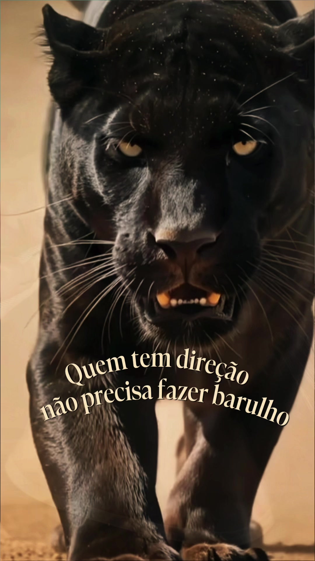 @Cauane Dias