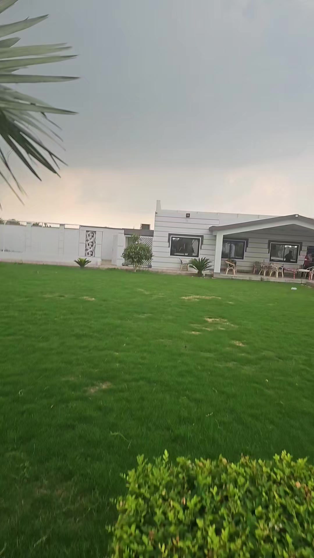 @syed-imran-mohsen-gillani2882