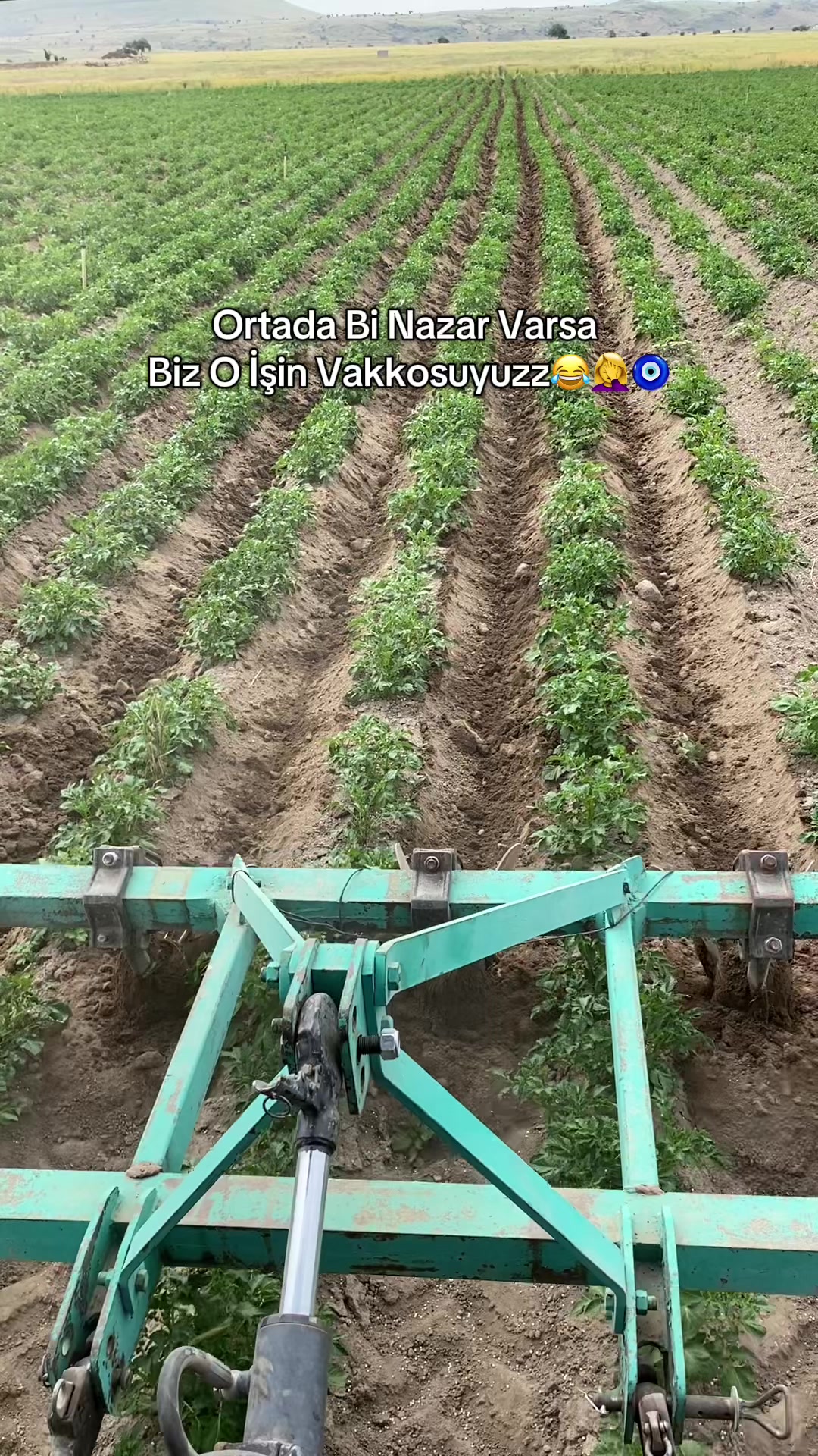 @Melike.blcii