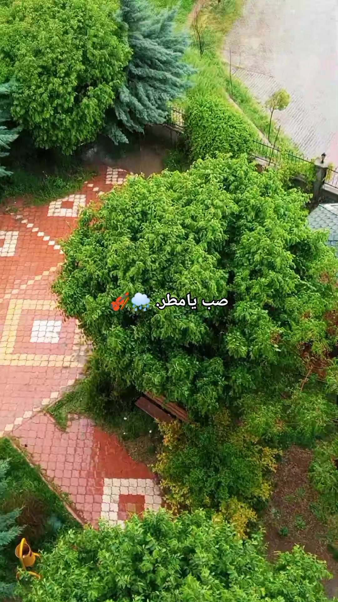 @🇹🇷🕊بنت الموصل 👑🇮🇶