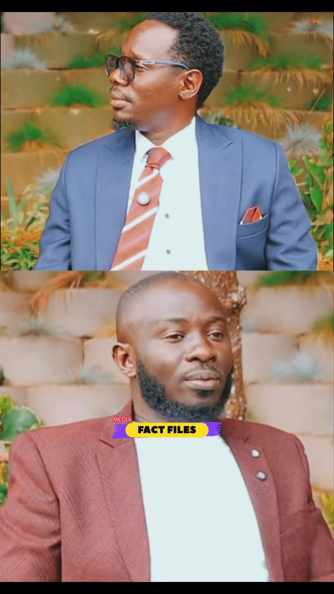 @FactFilesMedia