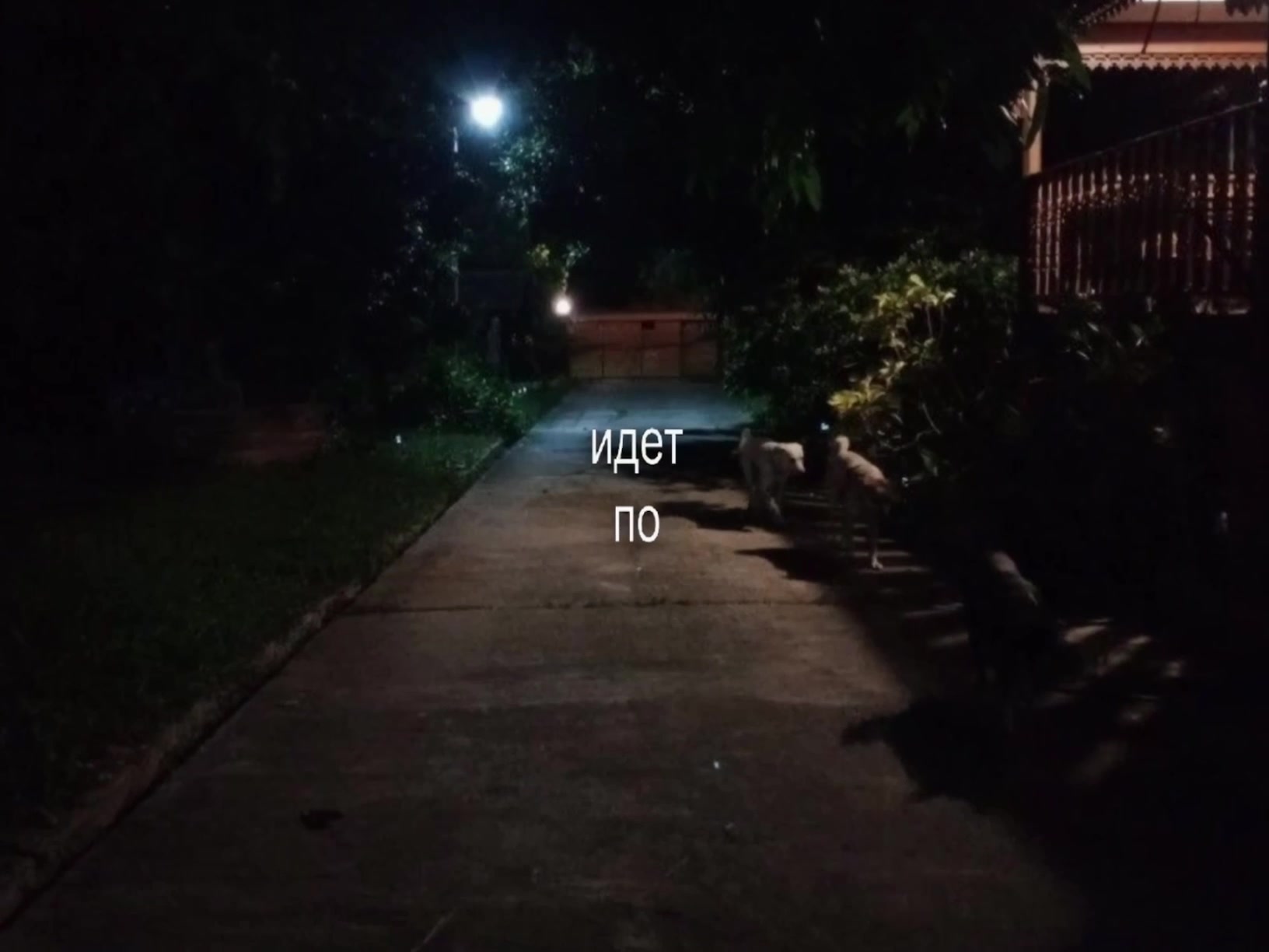 @треки для липсингов
