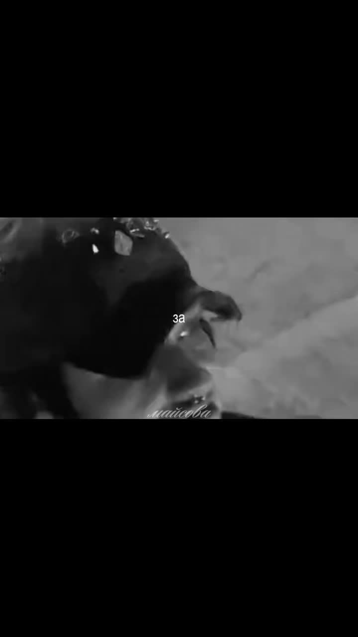 @майсова丰