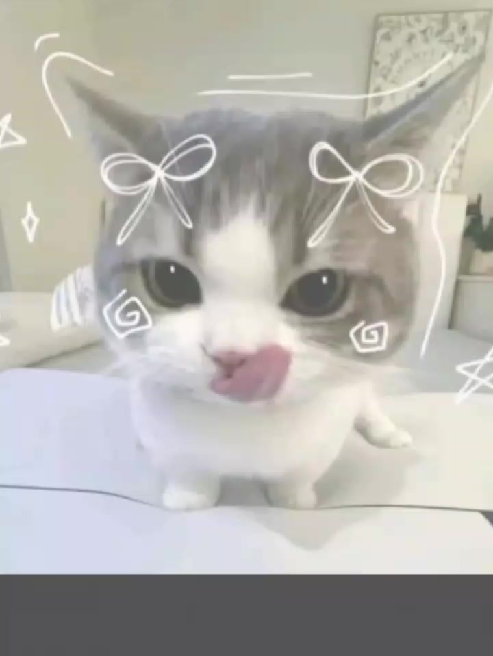 @insao
