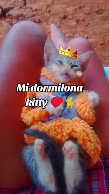 @🍒Valentina Cedeño🇪🇨💪