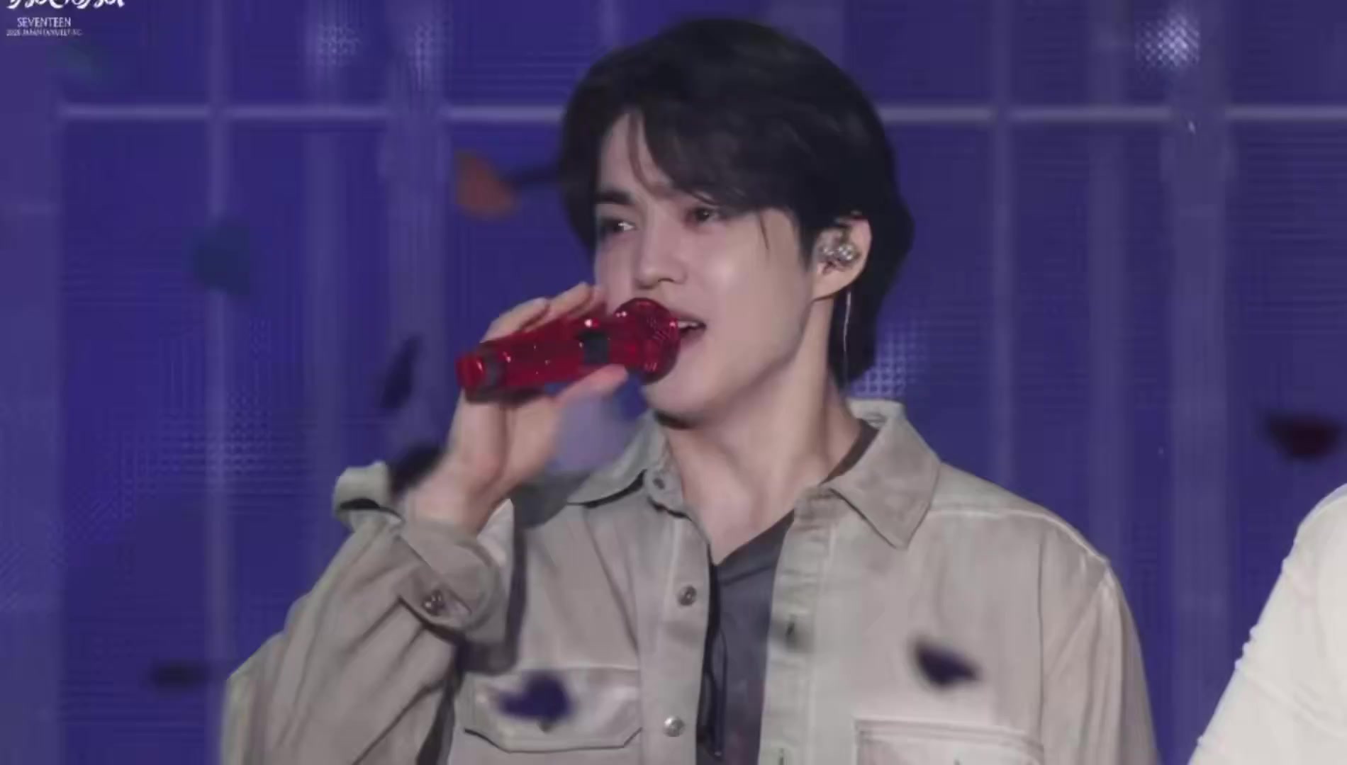 @mingoo