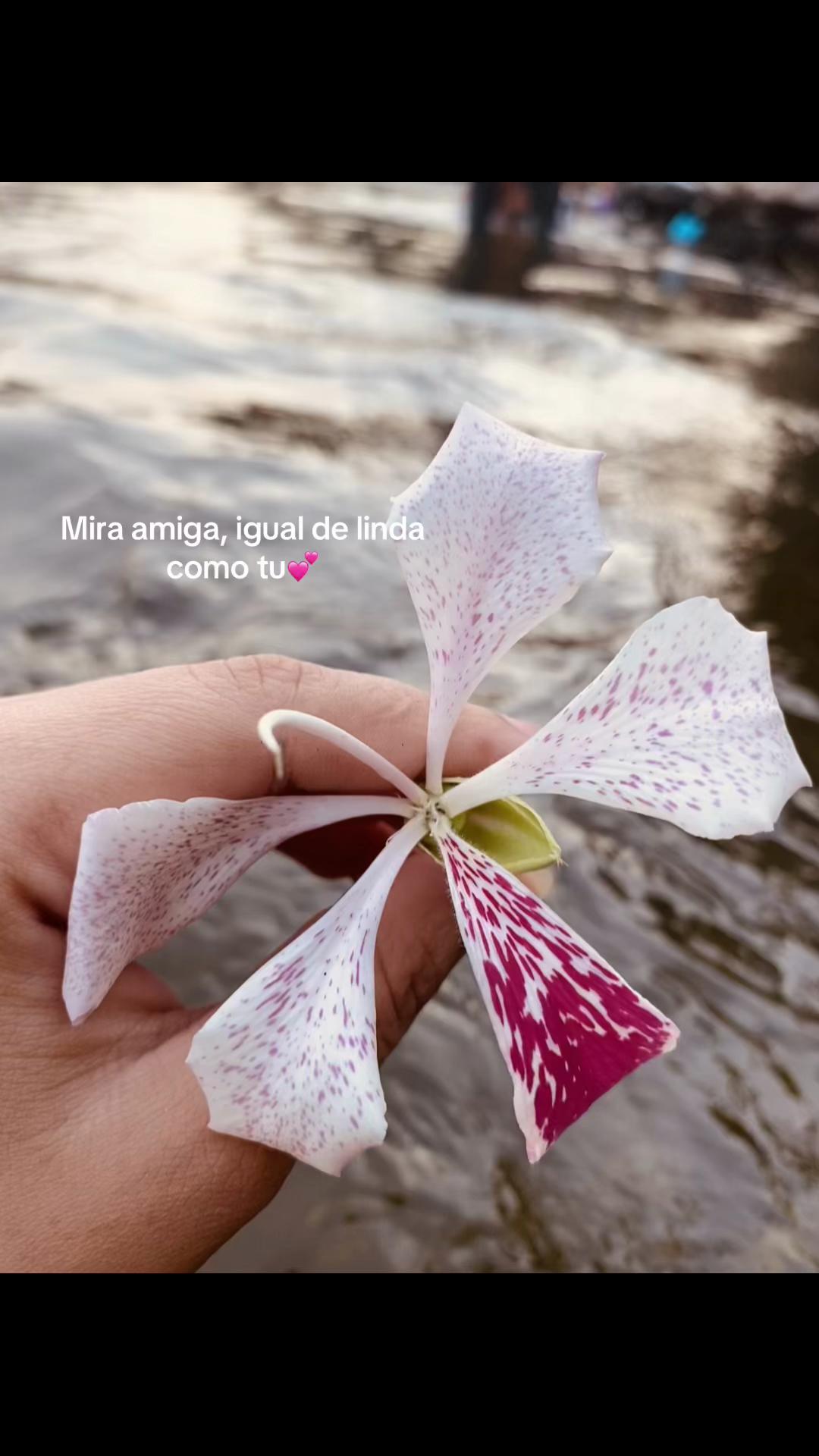 @🧸Melani🧸