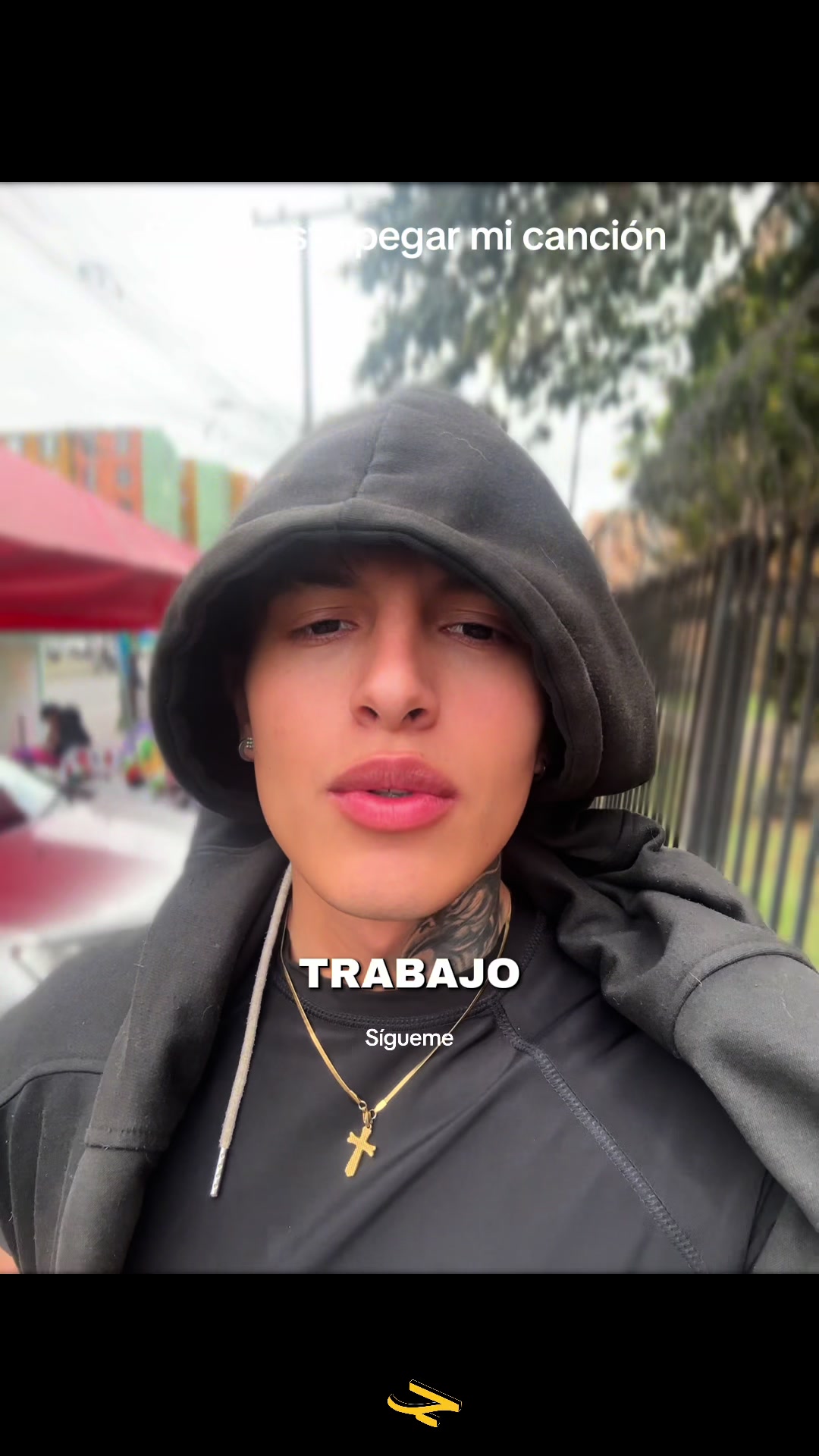 @celeón