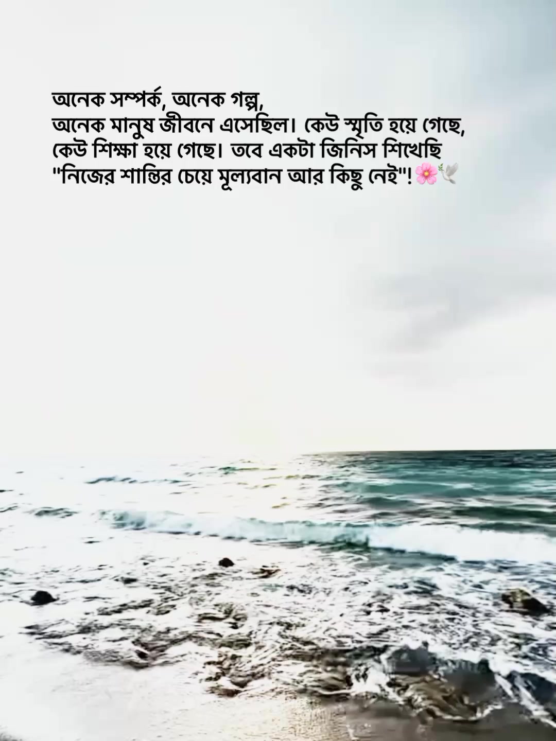 @𝗠𝗶𝗺𝘂𝘂 𝗔𝗽𝘂𝘂'♡︎🌷