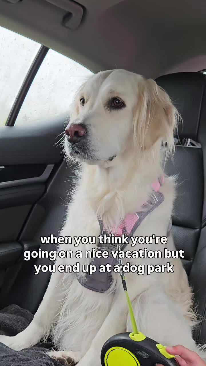 @MaxiTheCream