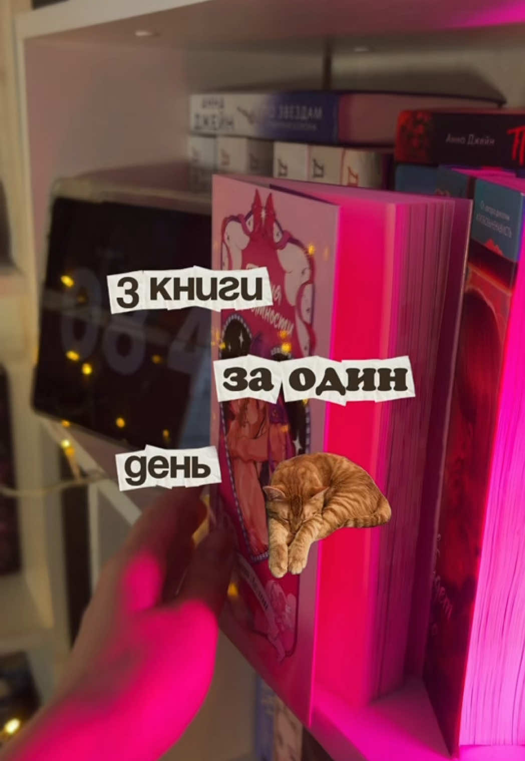 @кудрявая, с любовью (о книгах)