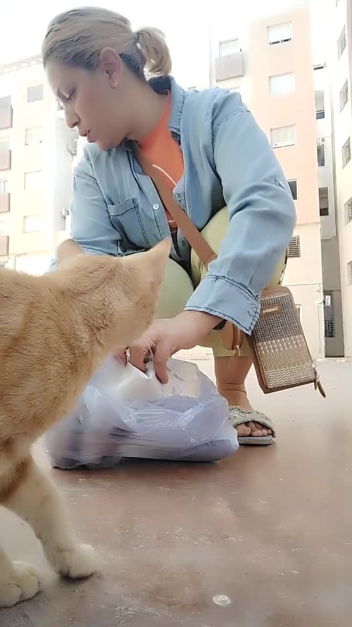 @Farah ๐คฉ๐ู
ููุฉ ุฌู
ุงู ุงูุนุงูู