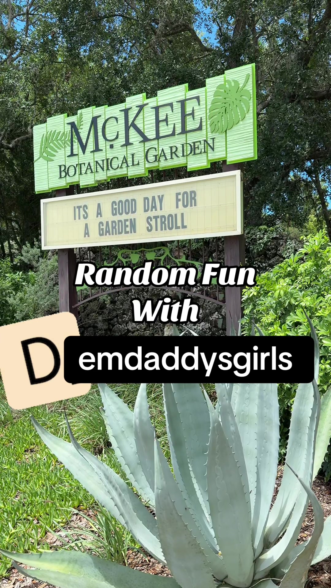@DemDaddysGirls4