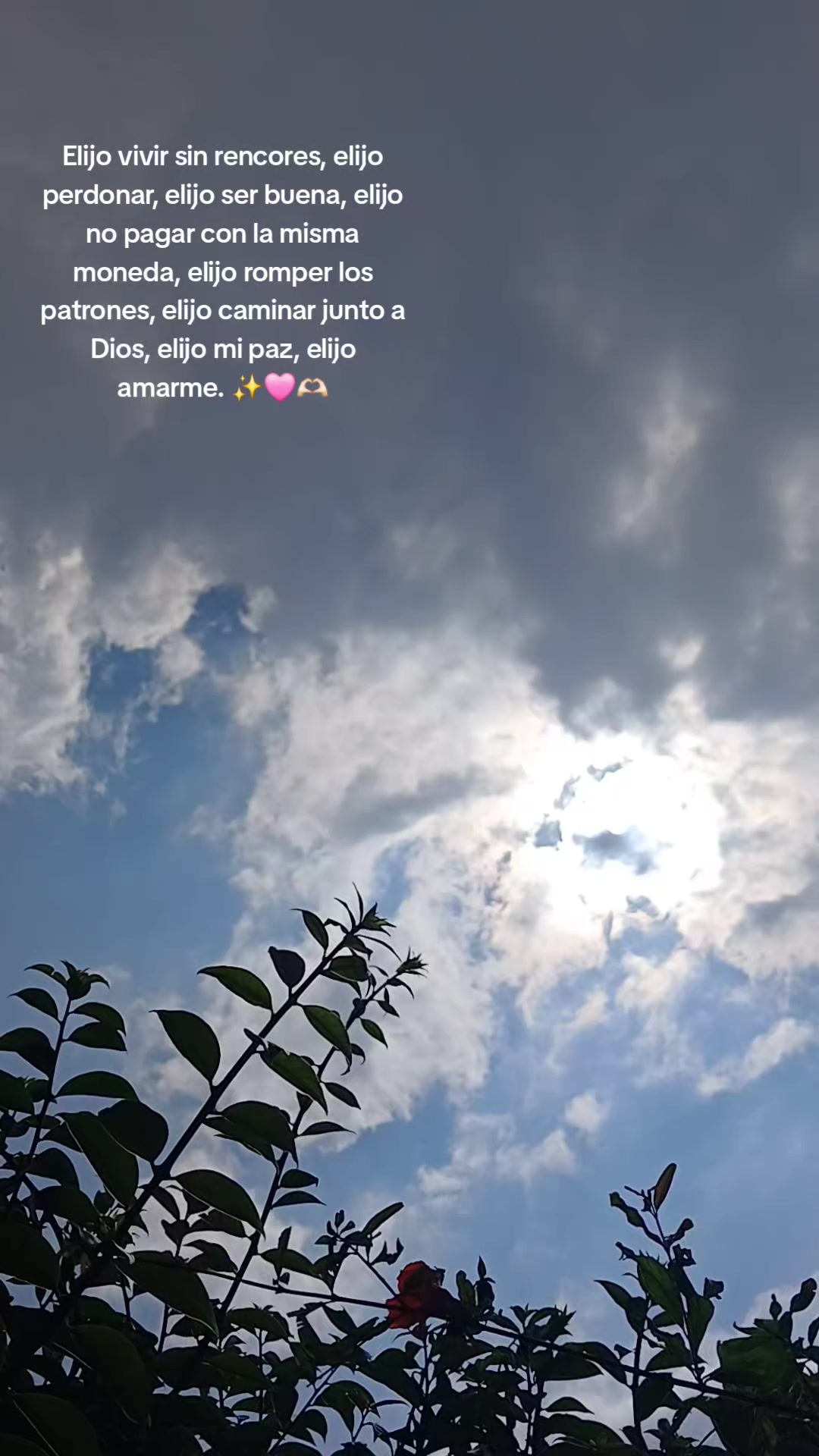 @Dulc Zoé DG