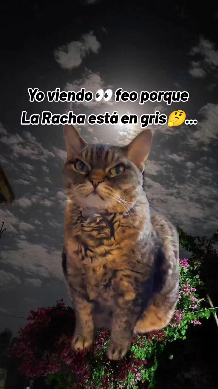 @🦋LUNA🔥_🇧🇴🇦🇷🎧