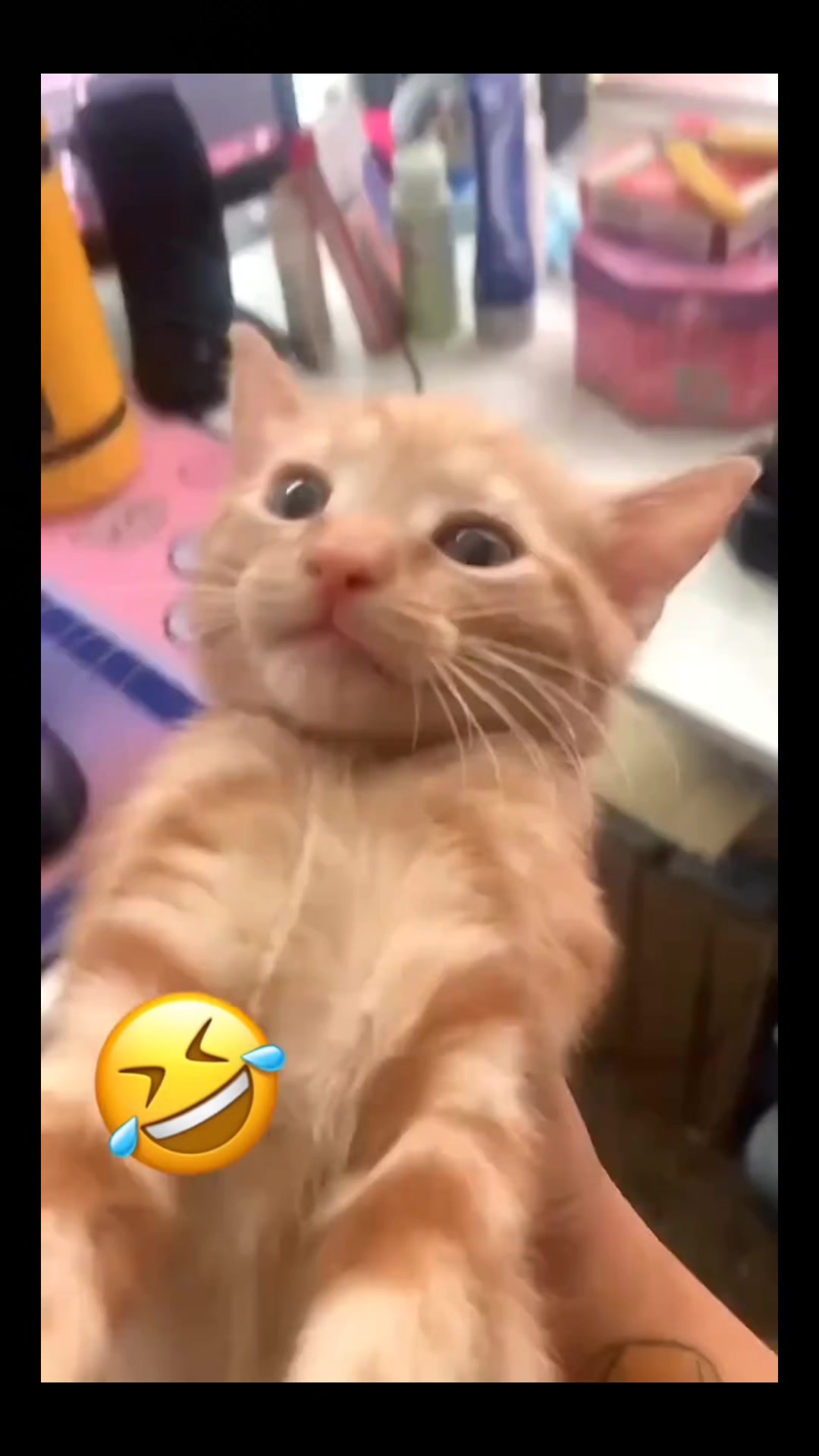 @zertoxx7