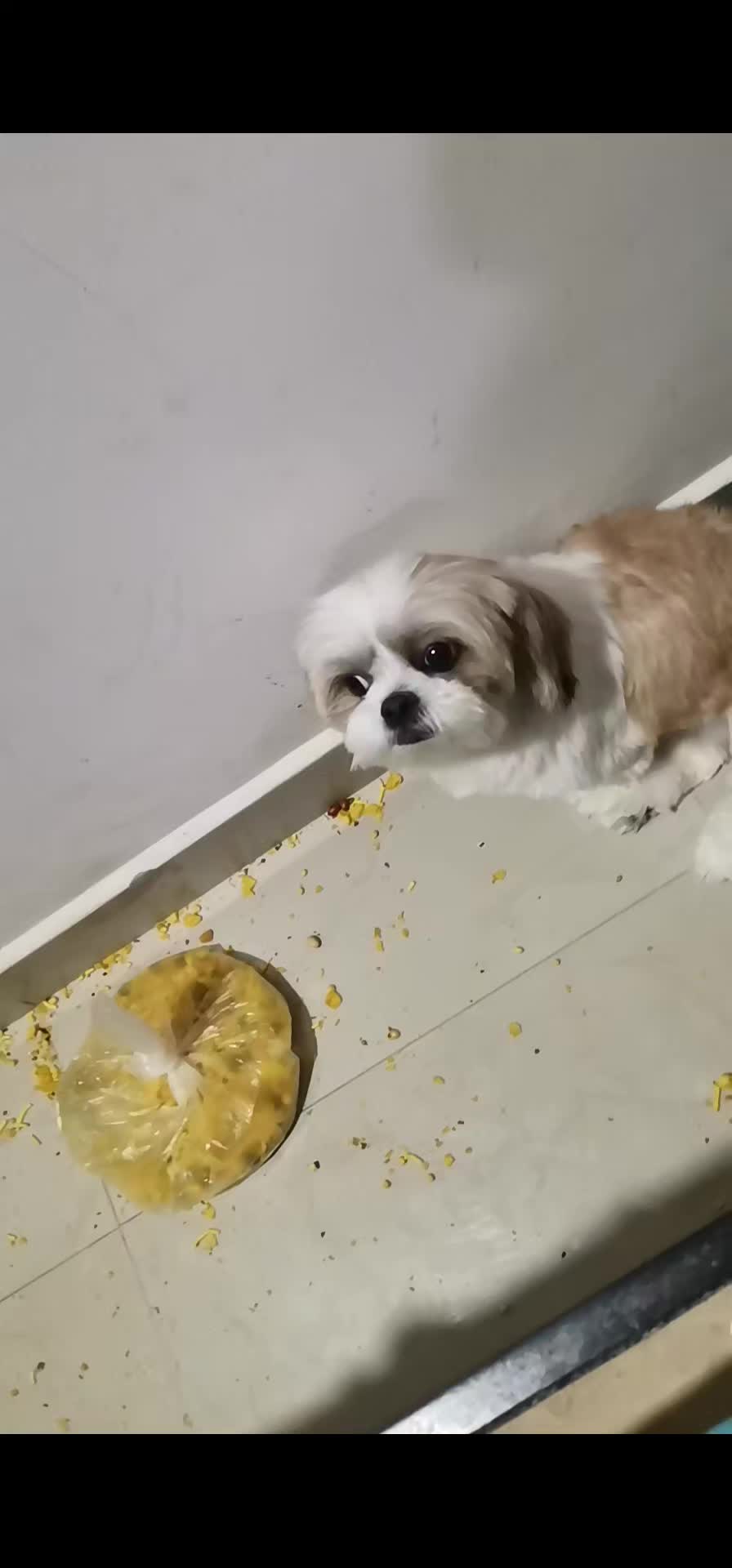 @ritsbk