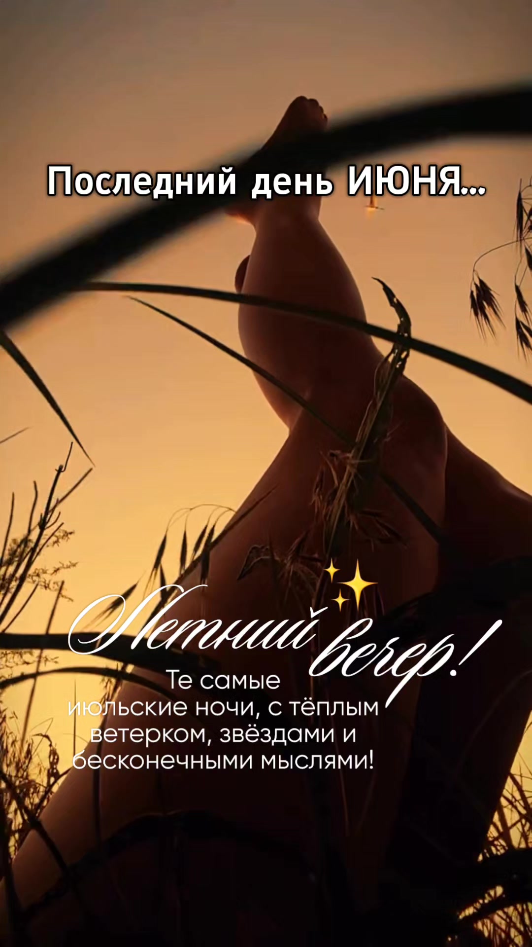 @☆꧁✬◦.𝒱.𝒮𝒽 .✬꧂☆