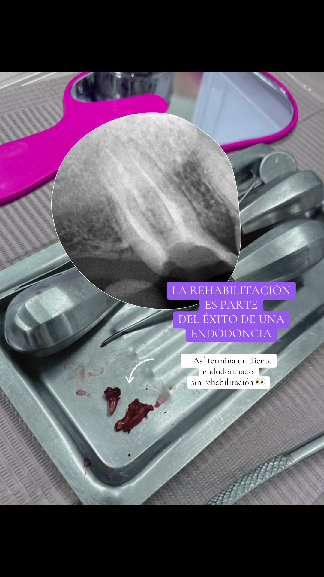 @Odontología San Marcos