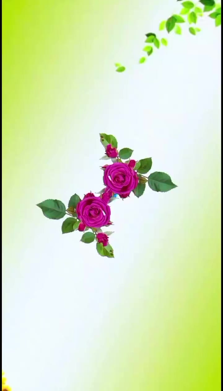 @zulfkar jhatoi