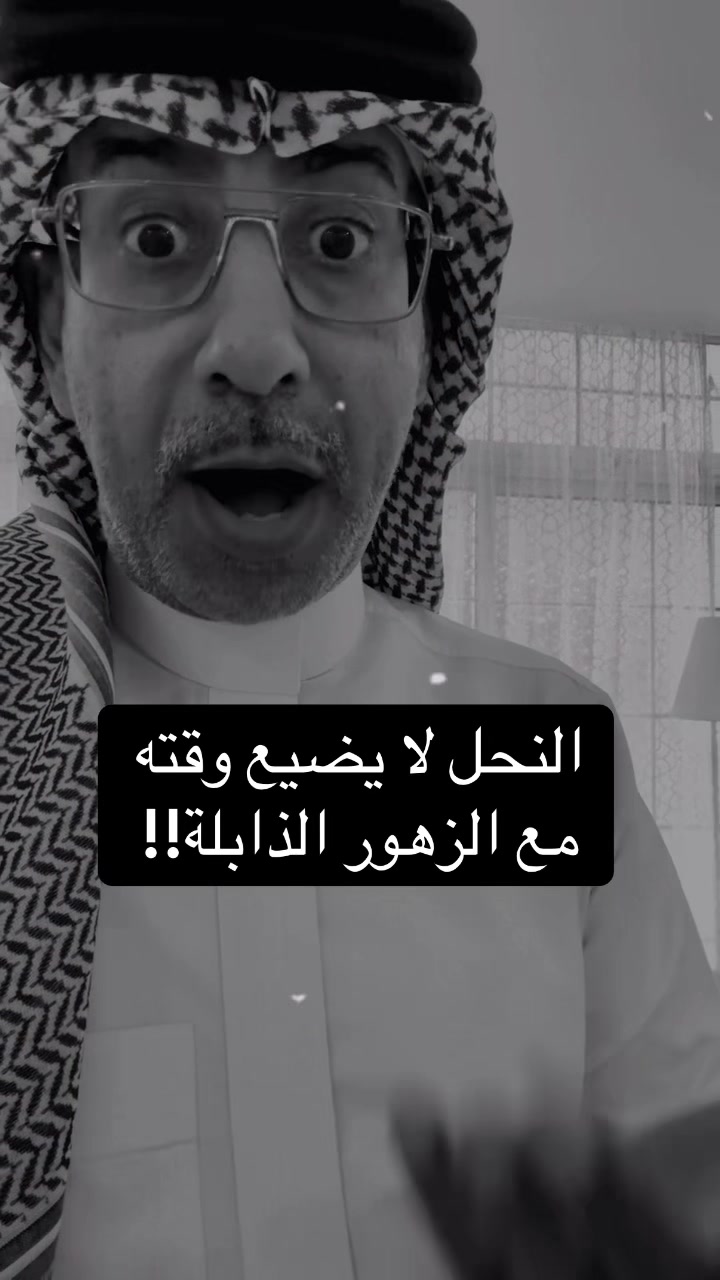 @عبدالرحمن الذبياني
