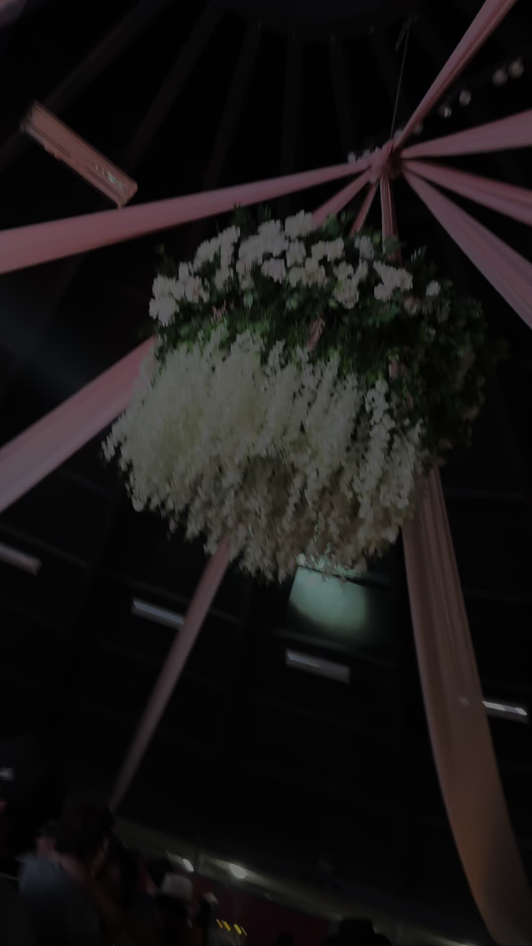 @๐ฆโฏ๐ ๐ฆโฏ๐ โก๏ธ