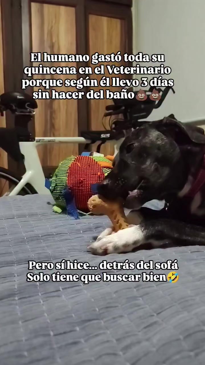 @Christian Gustavo He