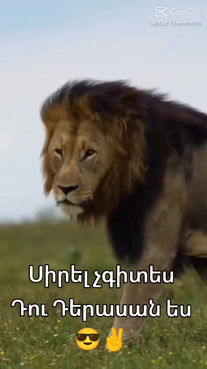 @🧸⚡Կայծ⚡🧸