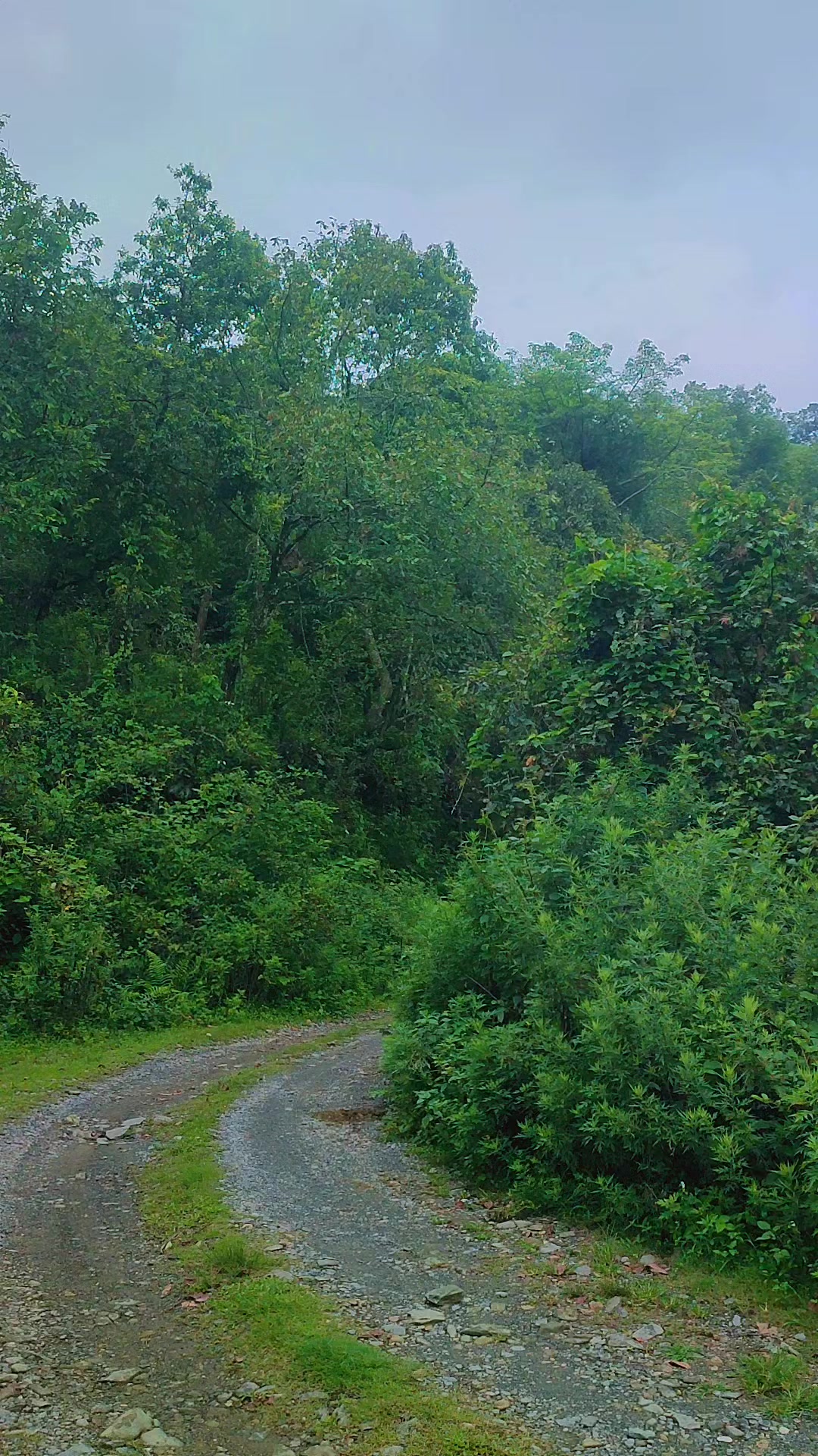 @ma_twa_vanja_sabai_ko❤️🩹