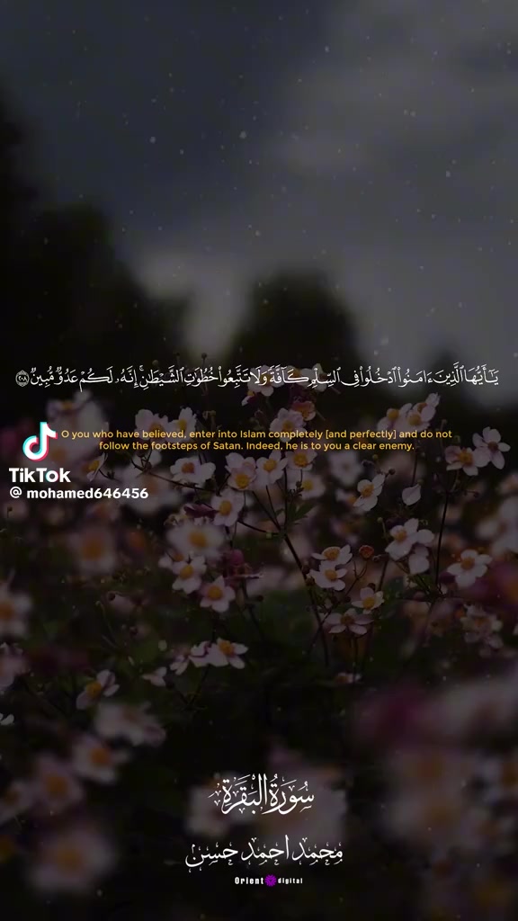 @Sohaib Mohamed