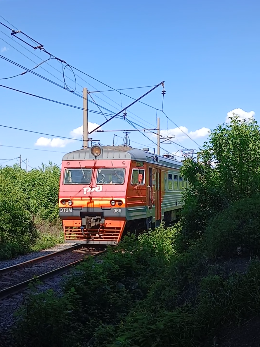 @Михалыч