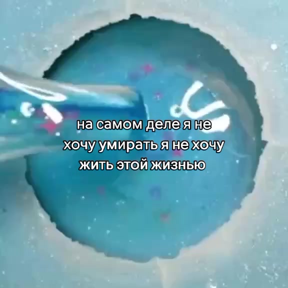 @мертвый кот