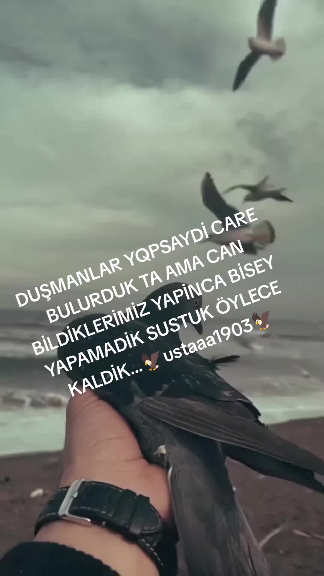 @🦅USTAAA🖤🤍1903🦅