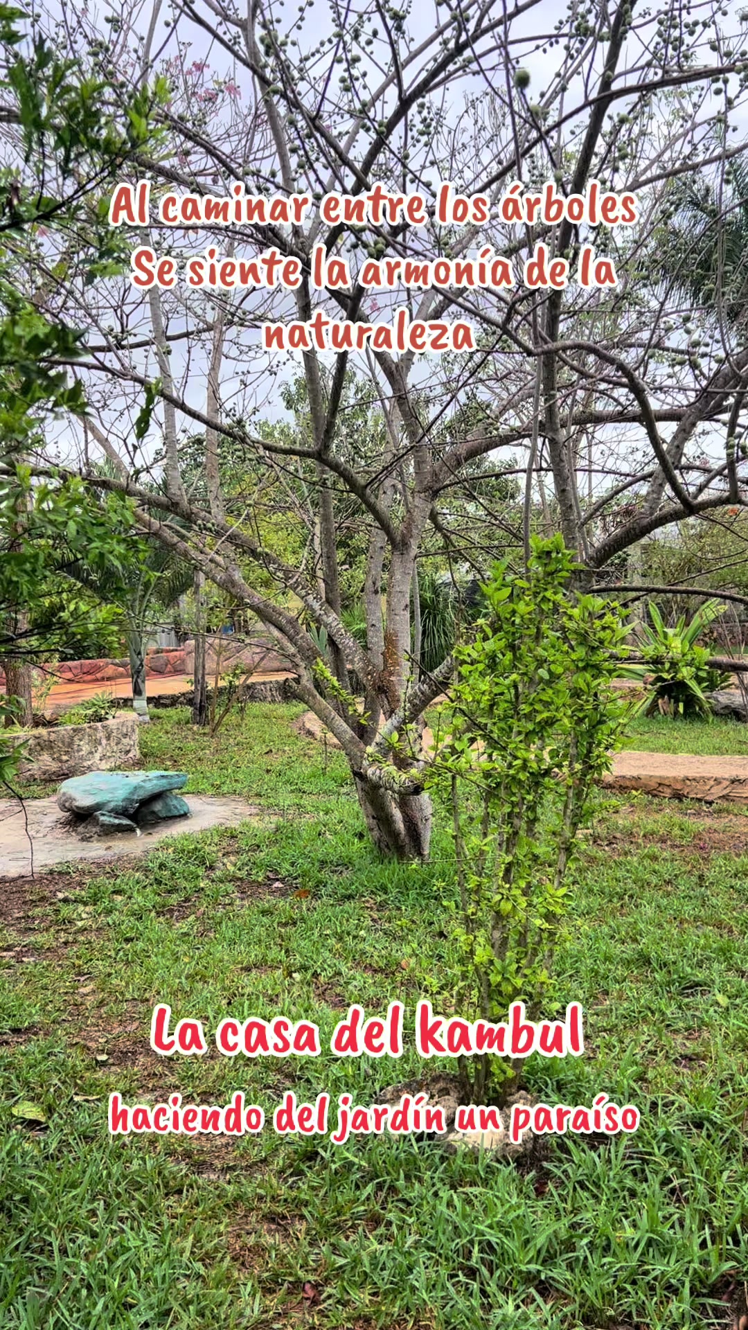 @La Casa Del Kambul